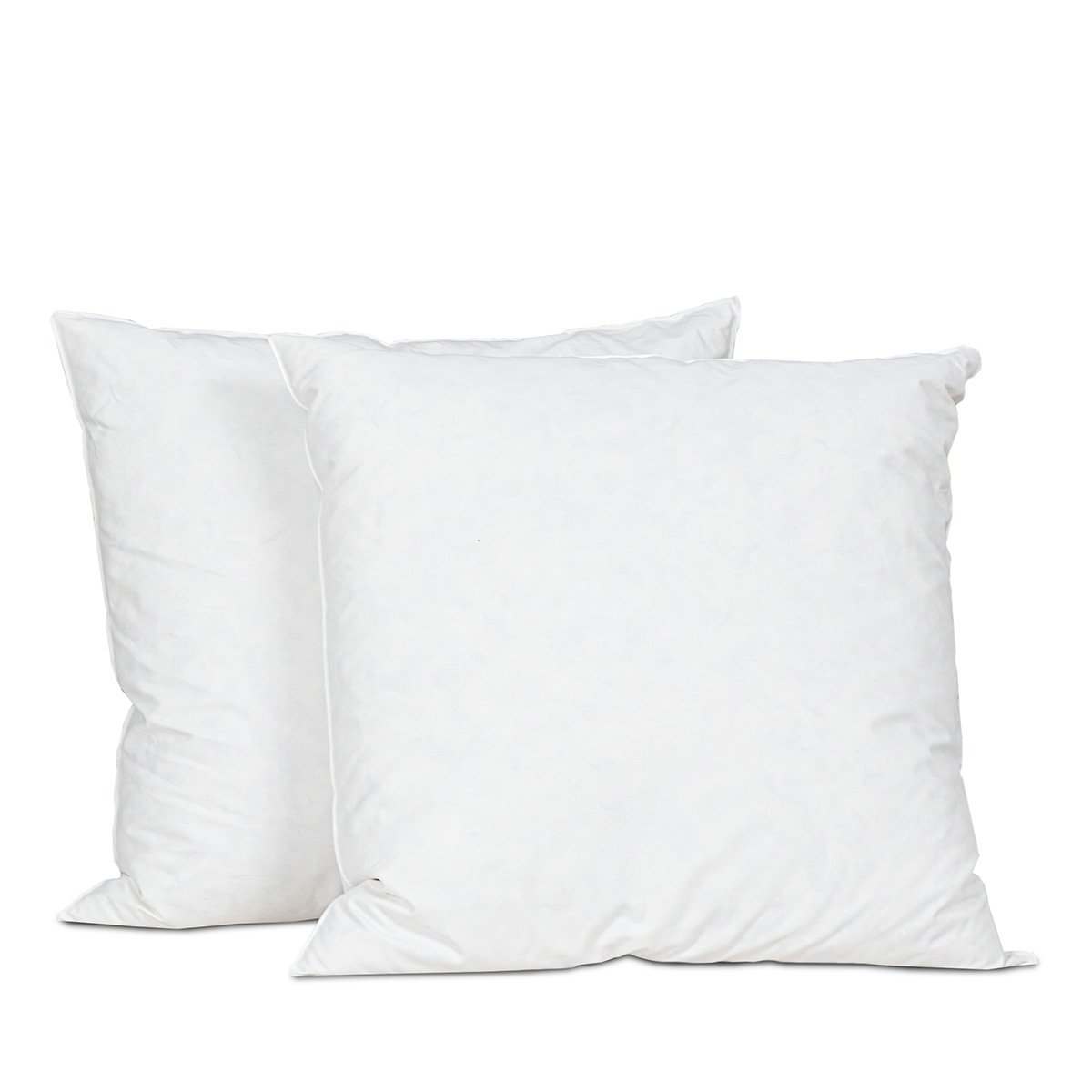 Oreiller Chambord 40x60 cm Duvet & Plumes blanc, BELLECOUR