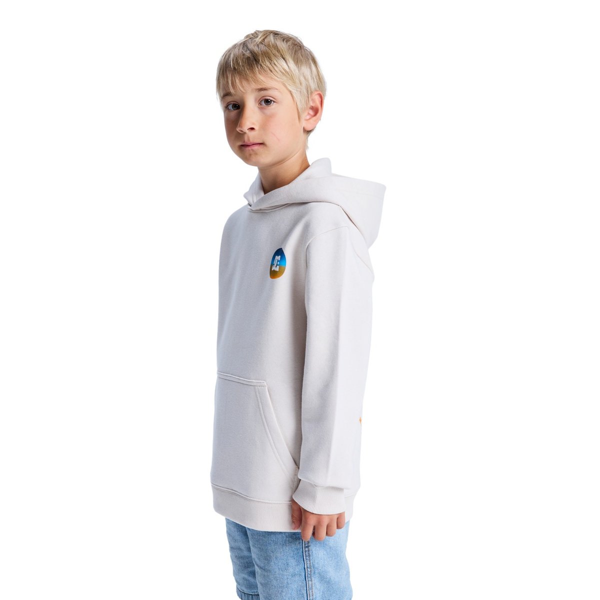 Sweat à capuche SHAPE OR DESTROY. beige oatmeal, DC SHOES