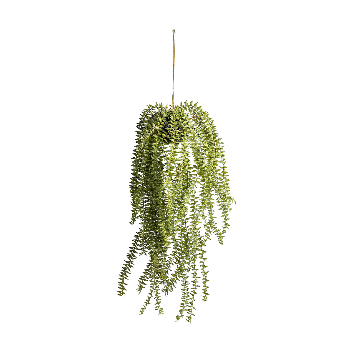 Artificial Hanging Cactus Horsetail green, ÉDITÉ