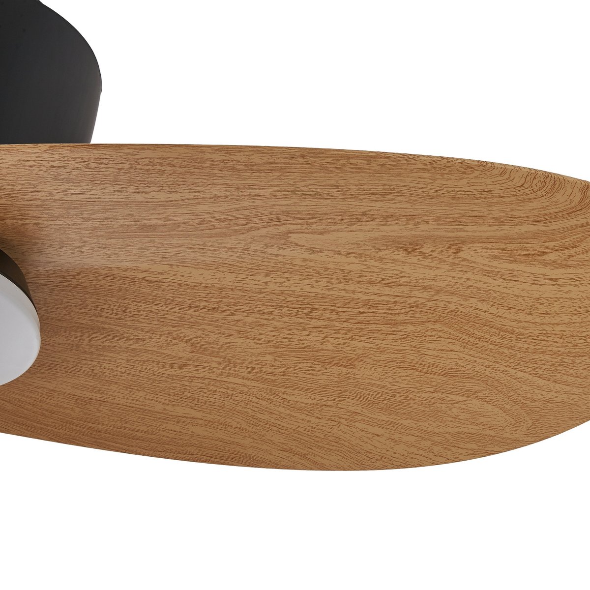 Ventilateur, SURFER noir, MANTRA