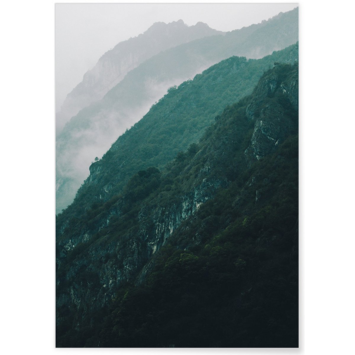 Poster Nature Brume blanc, L'AFFICHERIE