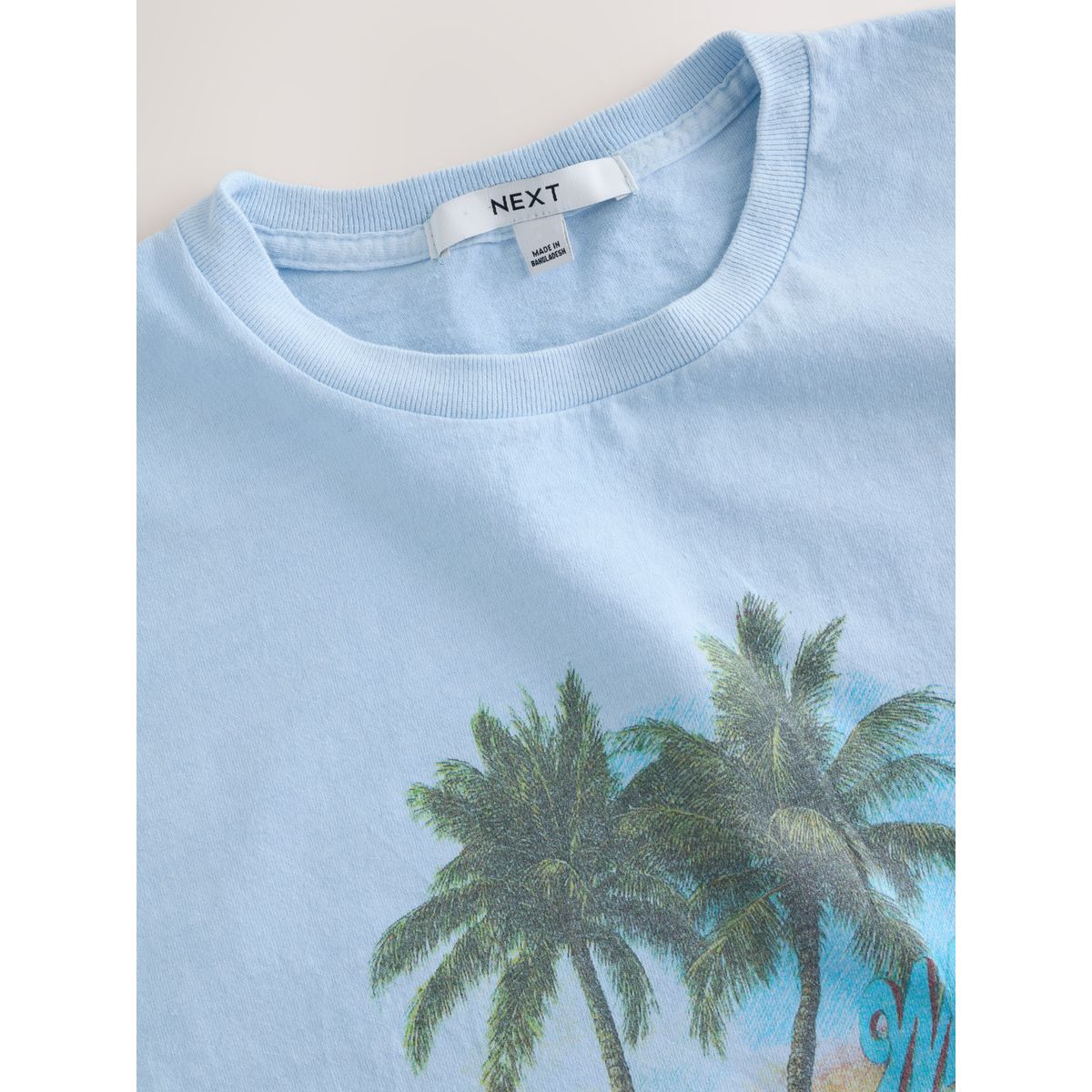 T-shirt ras du cou à imprimé délavé bleu, NEXT