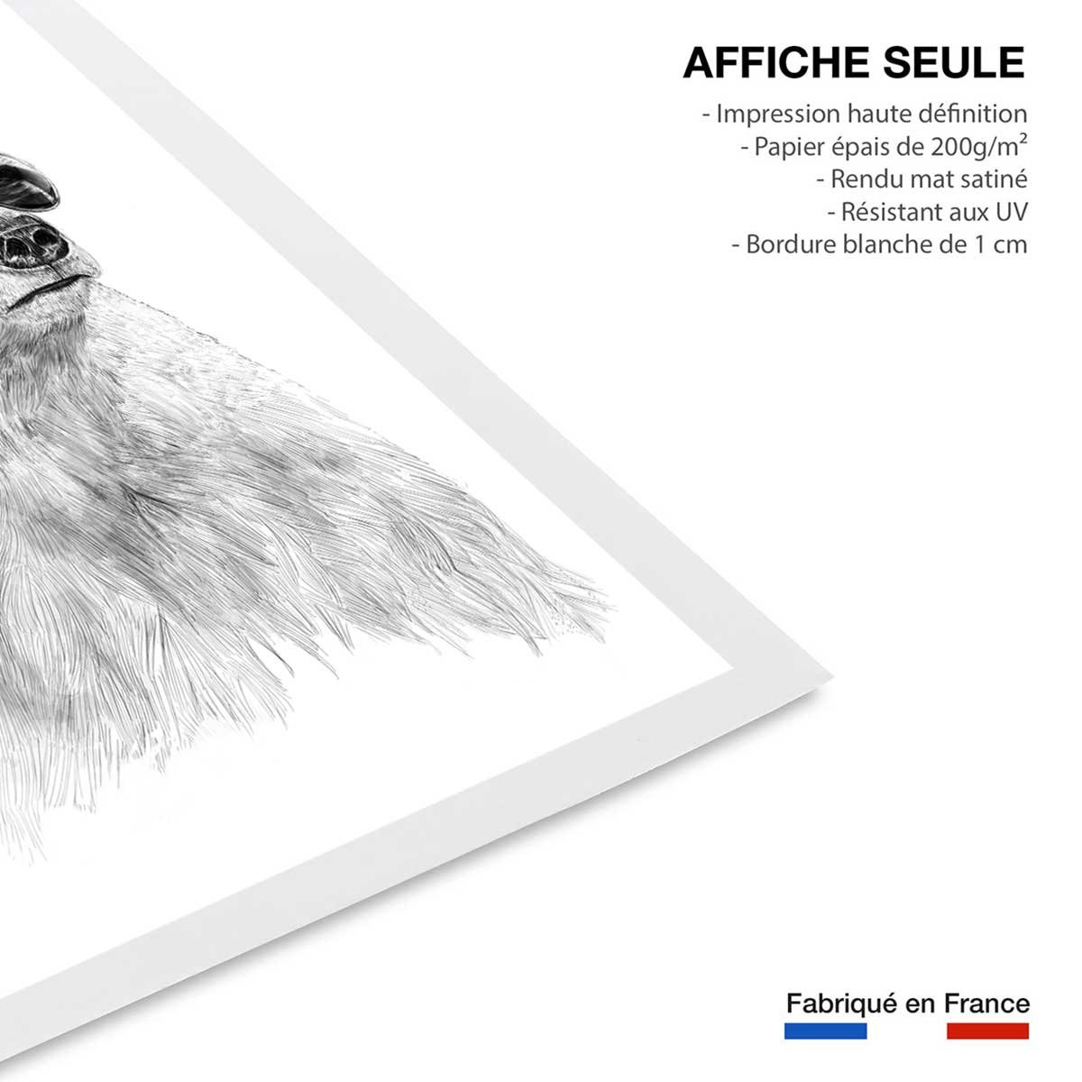 Affiche enfant ours polaire et lunette affiche seule, HEXOA