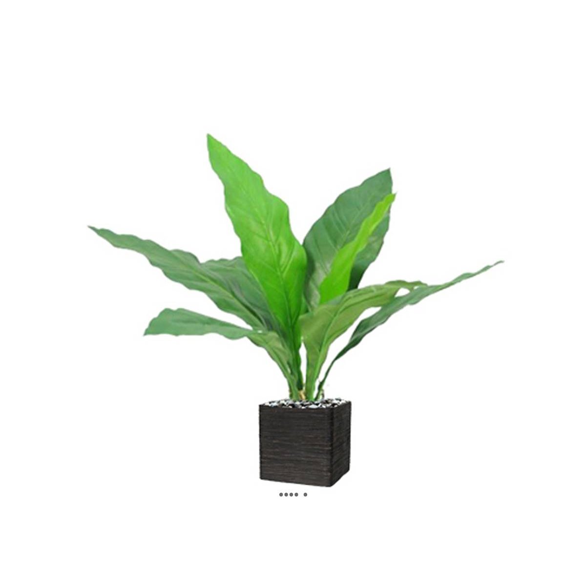 Piquet d'anthurium artificiel H 5 v002239, ARTIFICIELLES