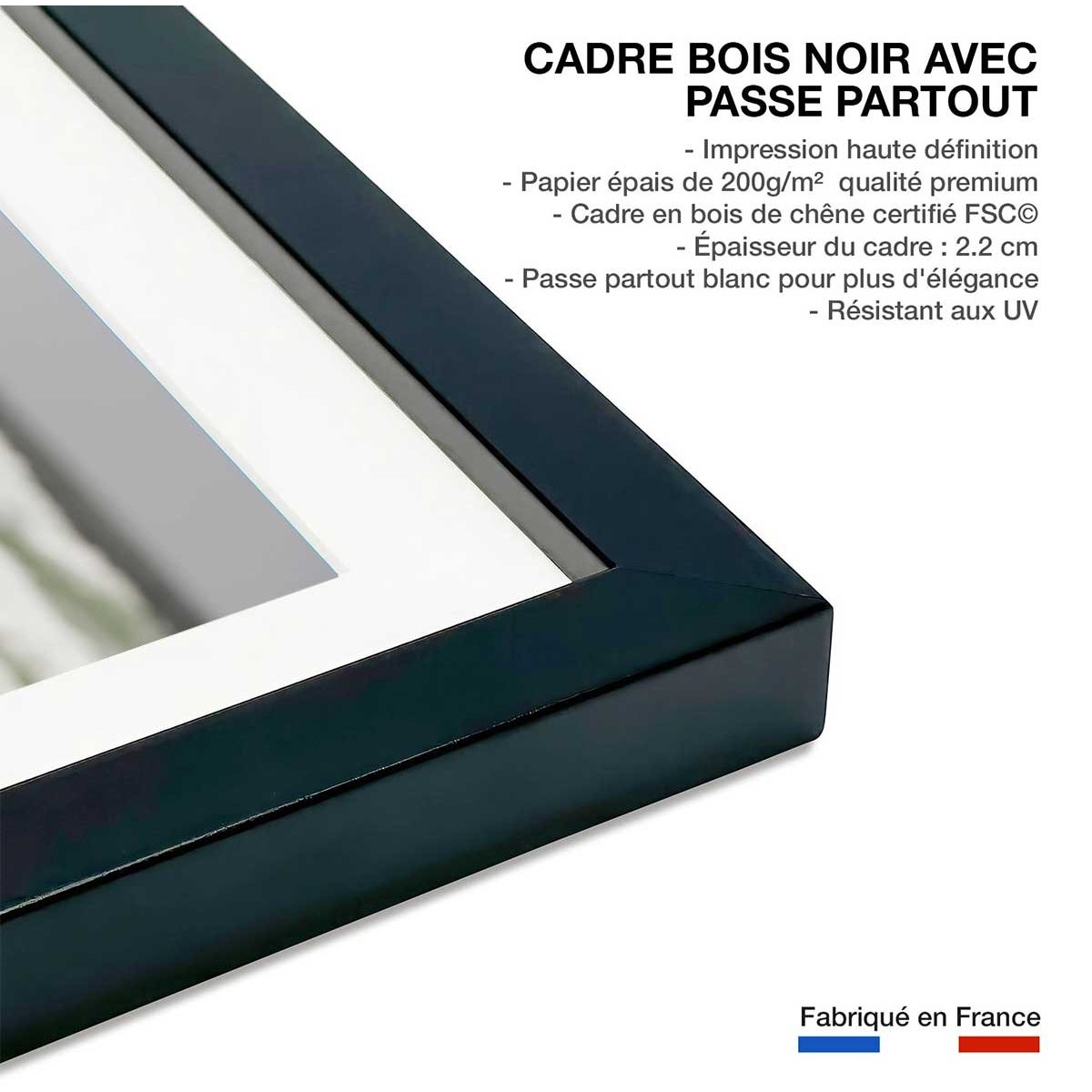 Affiche animaux pingouins affiche + cadre en bois - noir, HEXOA