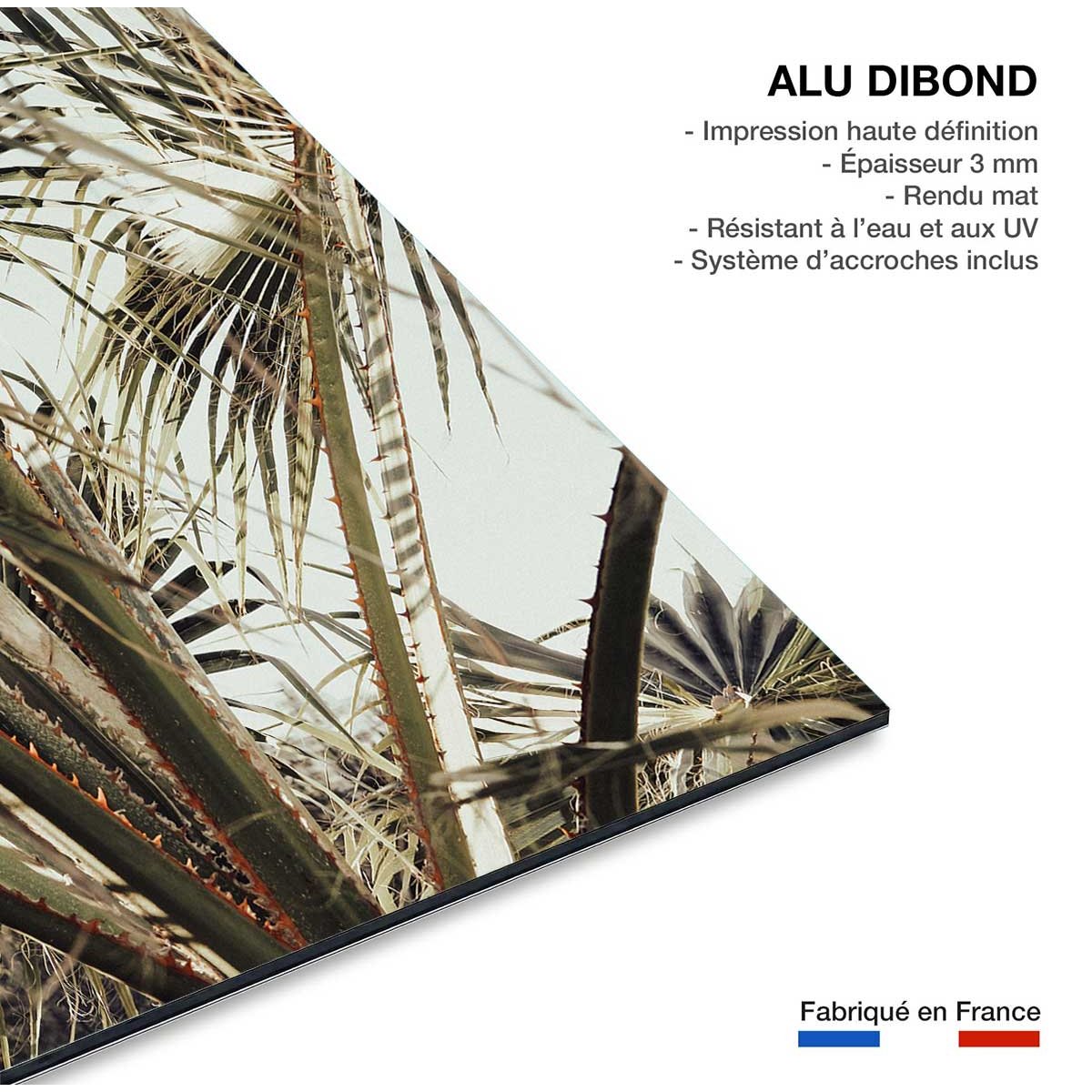 Tableau cœur de palmier tableau alu dibond, HEXOA