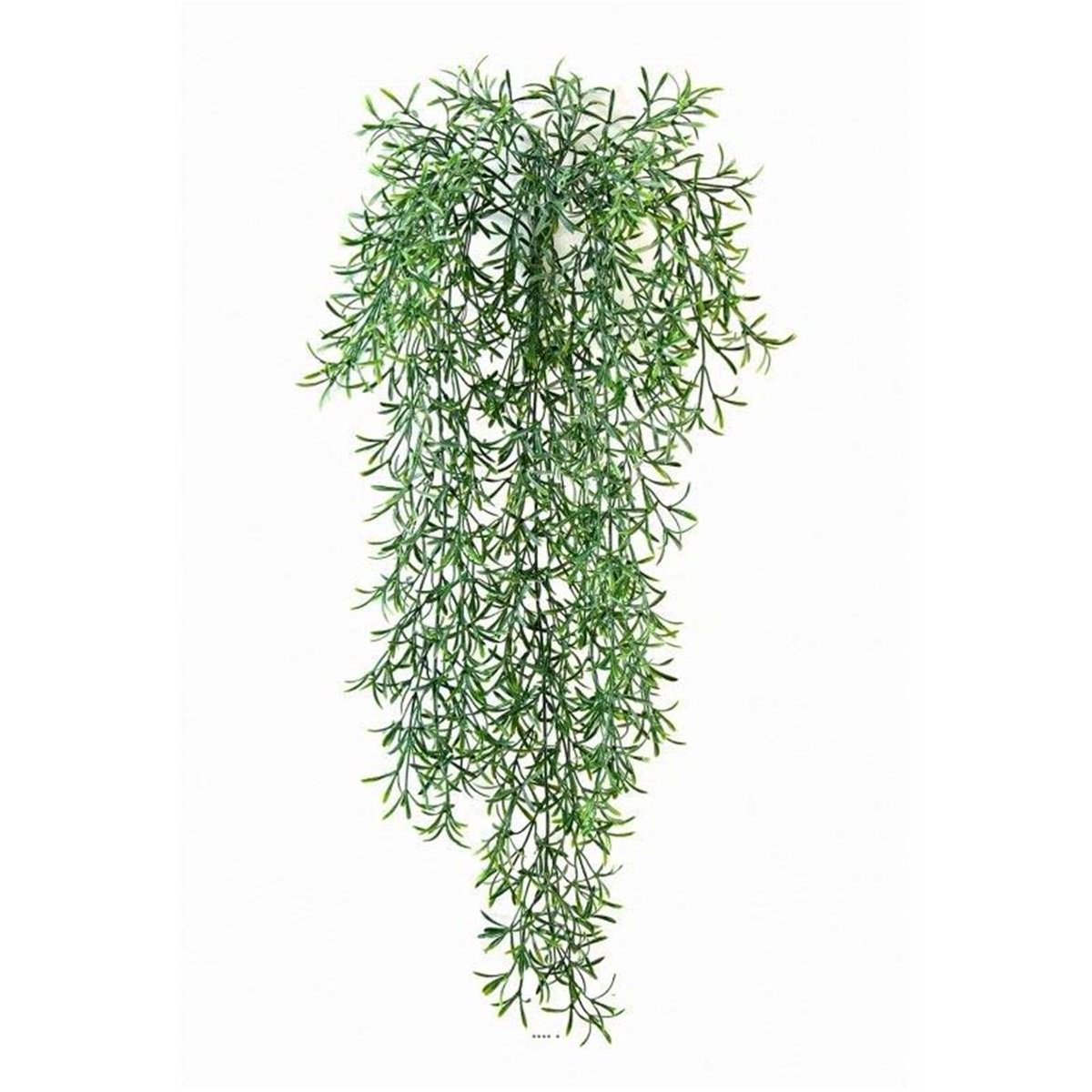 Feuillage factice Asparagus Sauvage en v002239, ARTIFICIELLES