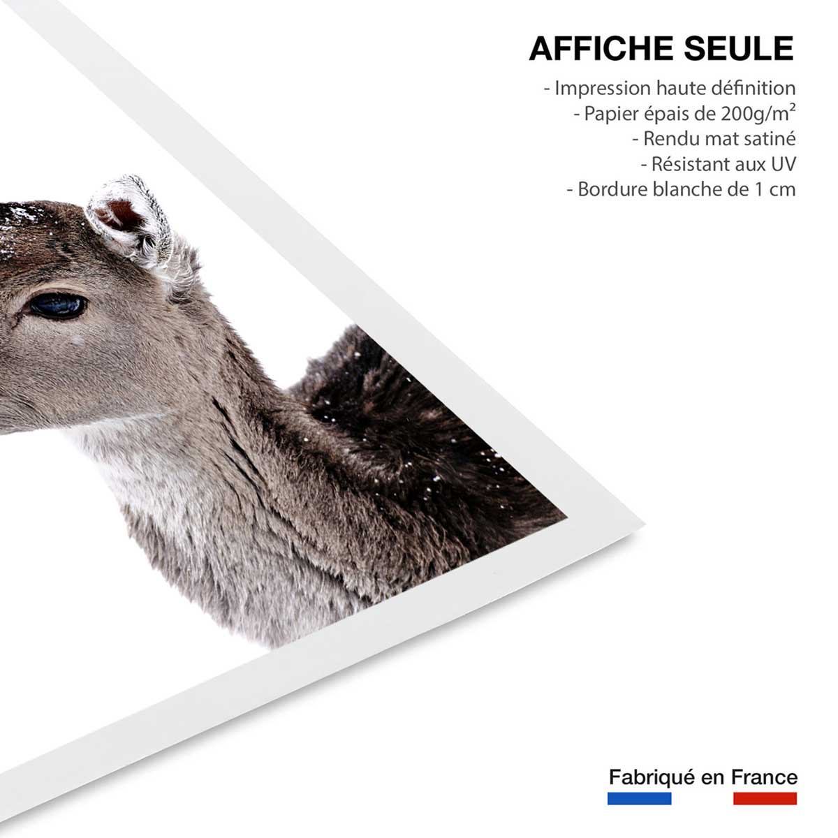 Affiche enfant faon sous la neige affiche seule, HEXOA