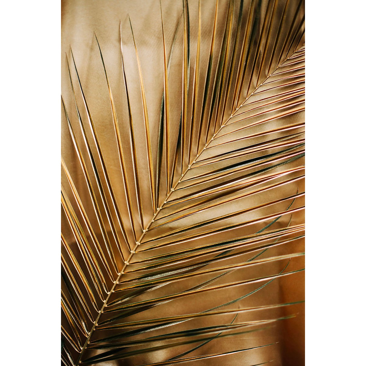 Tableau golden palm tableau alu dibond, HEXOA