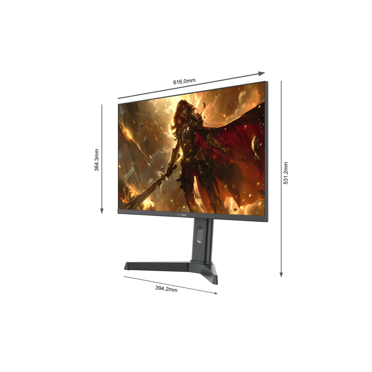 Ecran PC Gamer M27 27" QHD 200Hz Fast IPS HDMI 2.1 AMD FreeSync couleur unique, SKILLKORP