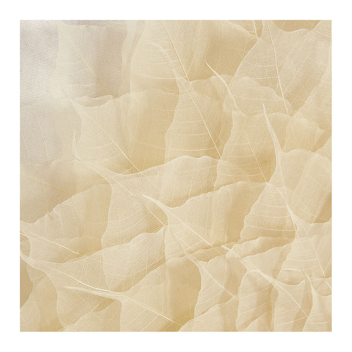 Décoration murale FLEUR feuilles beige, BLANC D’IVOIRE