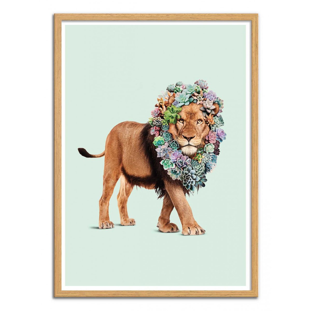 Affiche d'art - Succulent lion - Jonas Loose affiche d'art, WALL EDITIONS