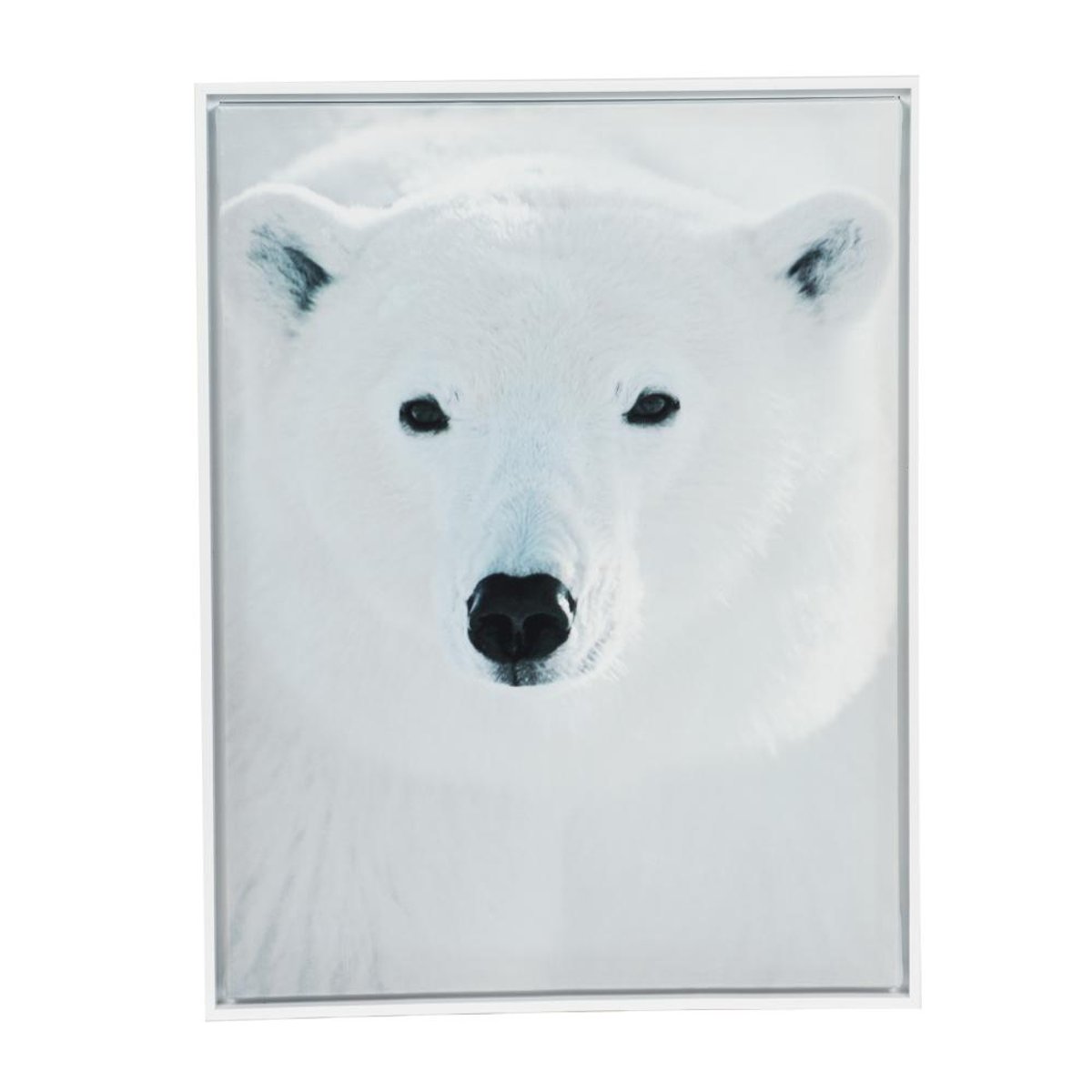 Toile ours polaire 60x80 cm blanc, AMADEUS