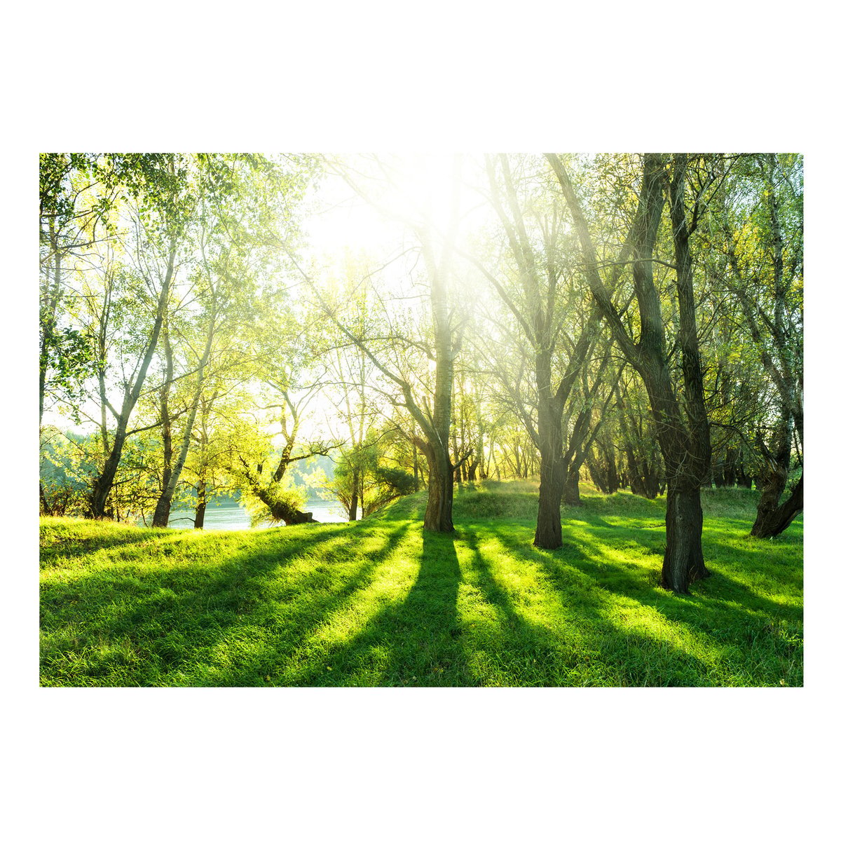 Papier peint intissé panoramique Paysage Sunny May Day jaune / doré, EDEN