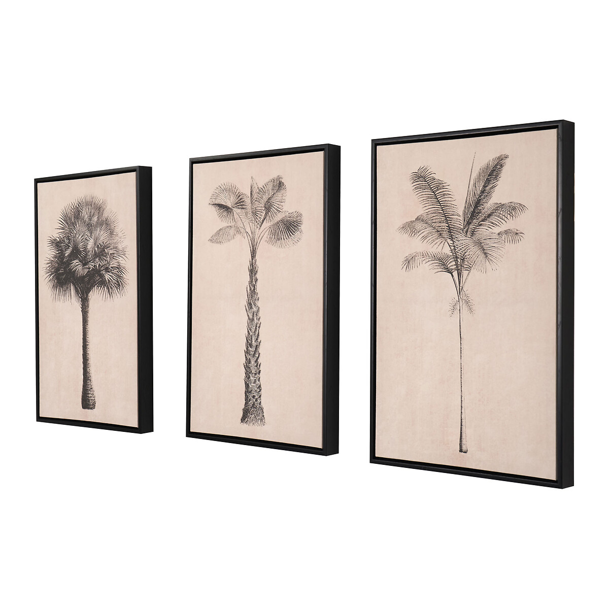 Set of 3 Natural and Black Palm Tree Print Canvases with Black Frames natural, SO'HOME