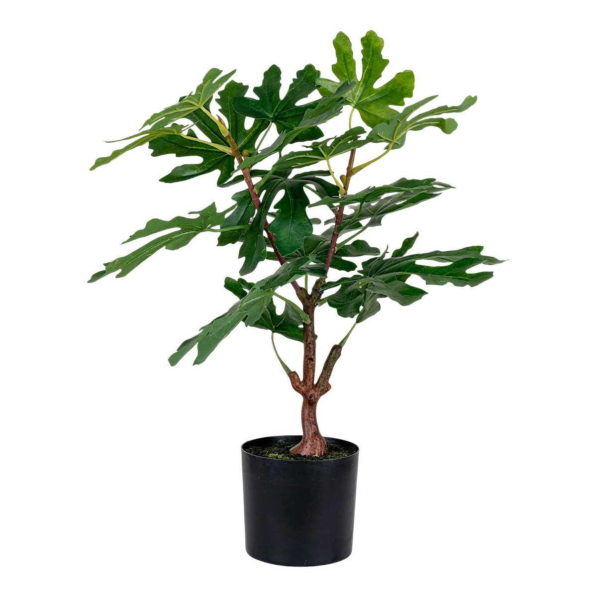 Figuier artificiel en pot vert, PIER IMPORT