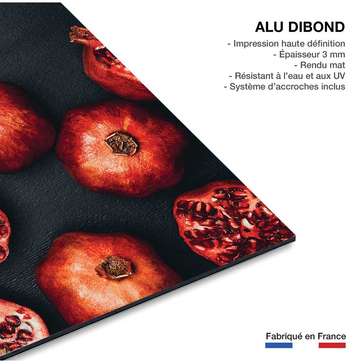 Tableau collection graines de grenade i tableau alu dibond, HEXOA