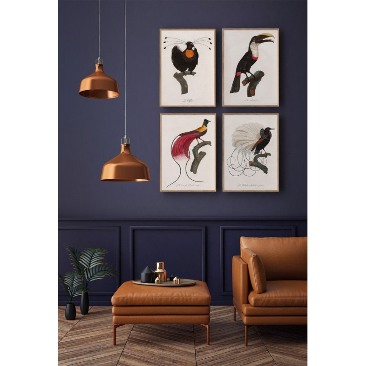 Affiche ancienne oiseau dessin  Le Toucan Tocard noir, THE DYBDAHL CO