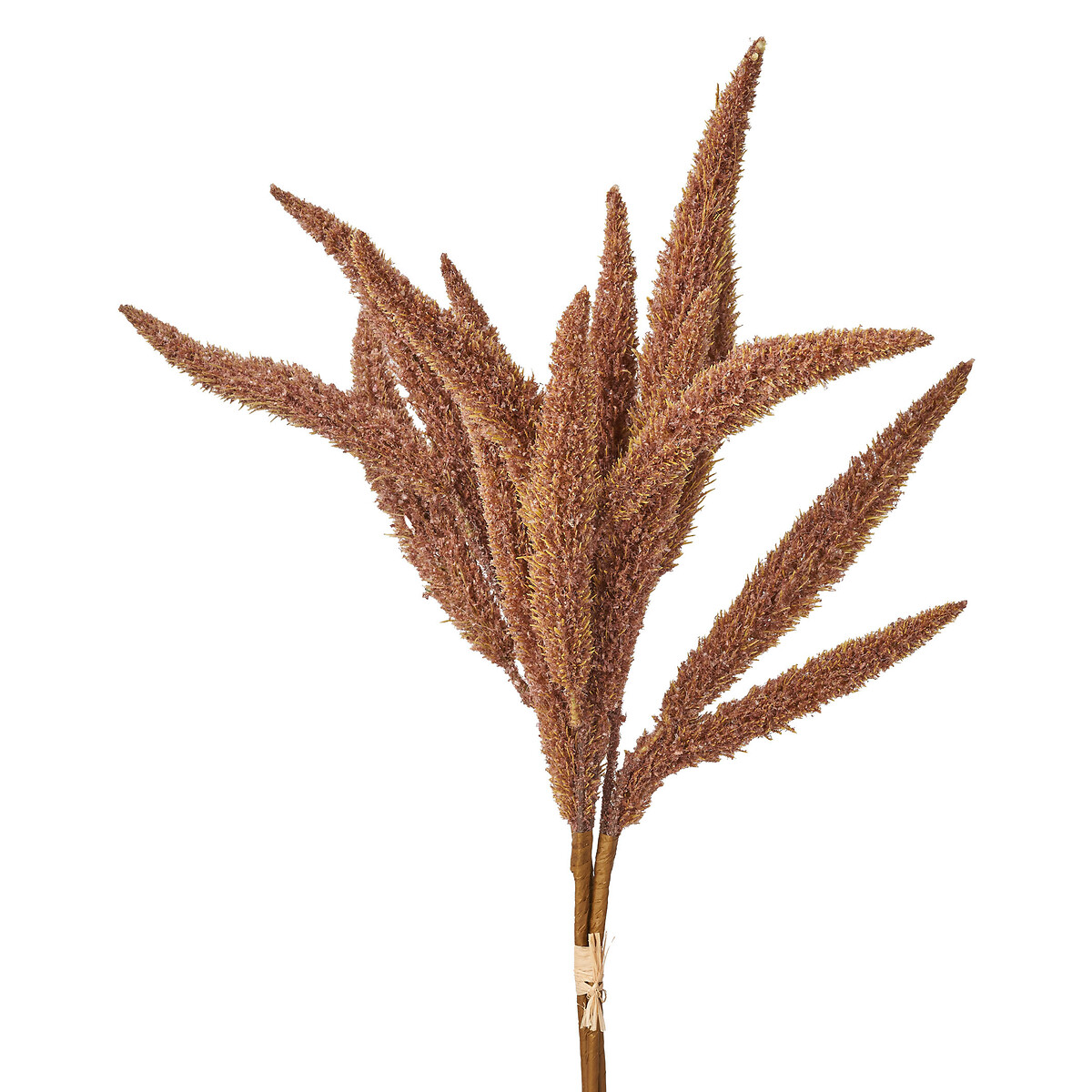 Set of 6 63cm Mulberry Brown Foxtail Hand-Tied 3 Stem Bundles brown              , ÉDITÉ