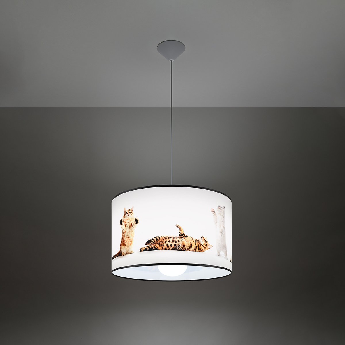 Suspension PVC Multicolore E27 1 Chat 40 multicolore, EDEN