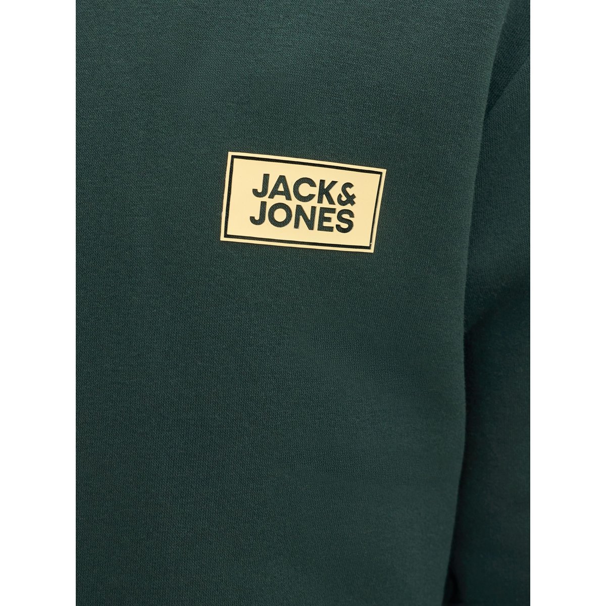 Sweat À Capuche scarab, JACK & JONES