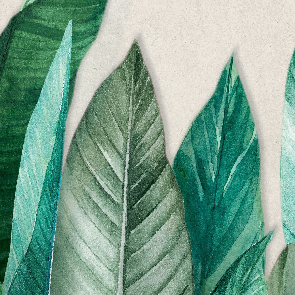 Papier peint feuilles de bananier vert, HEXOA