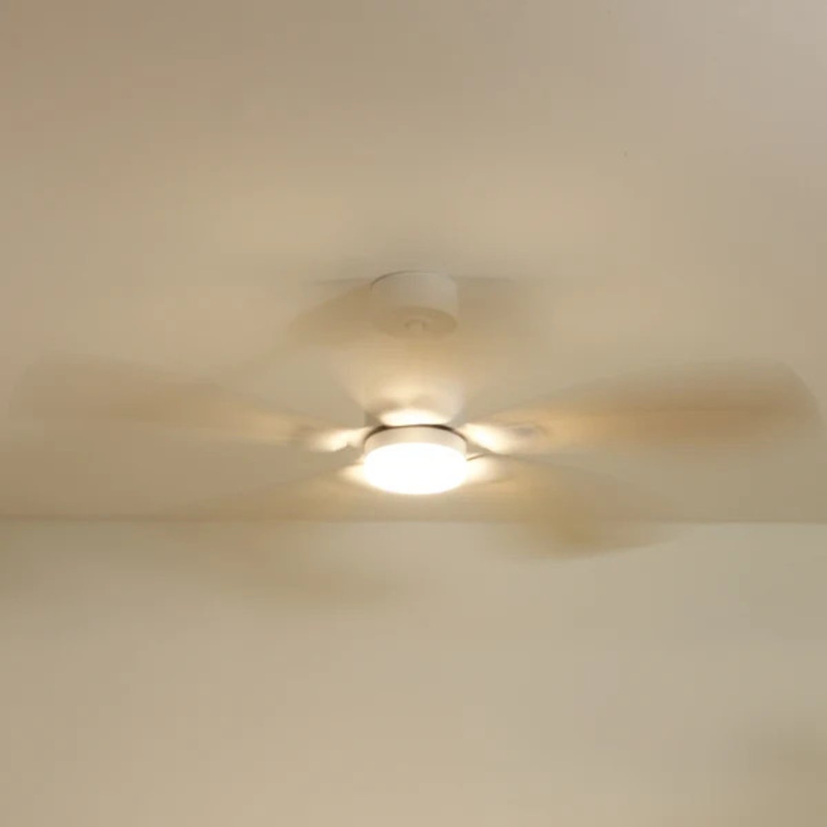 Plafonnier ventilateur en bois de peuplier LIBELLULE bois clair, ATELIER LOUPIOTE