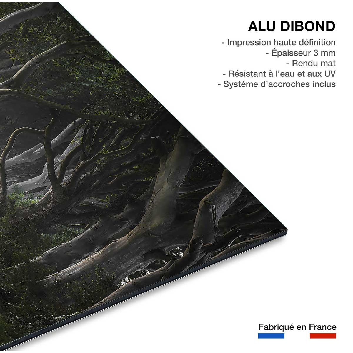 Tableau route de l'irréel tableau alu dibond, HEXOA