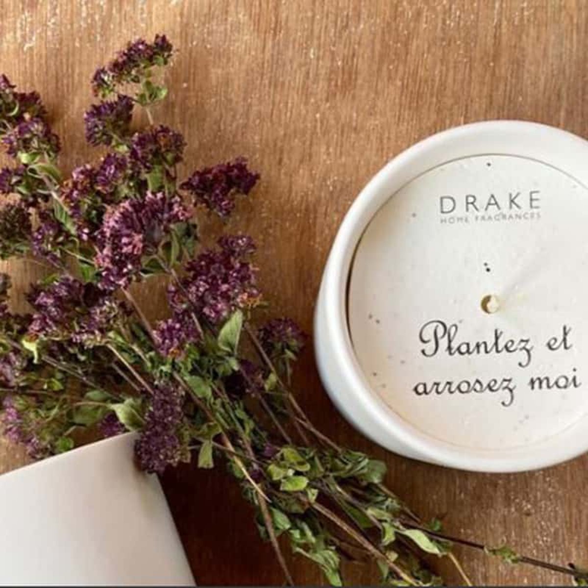 Bougie originale Orchidée - graines Ciboulette 40h couleur unique, DRAKE