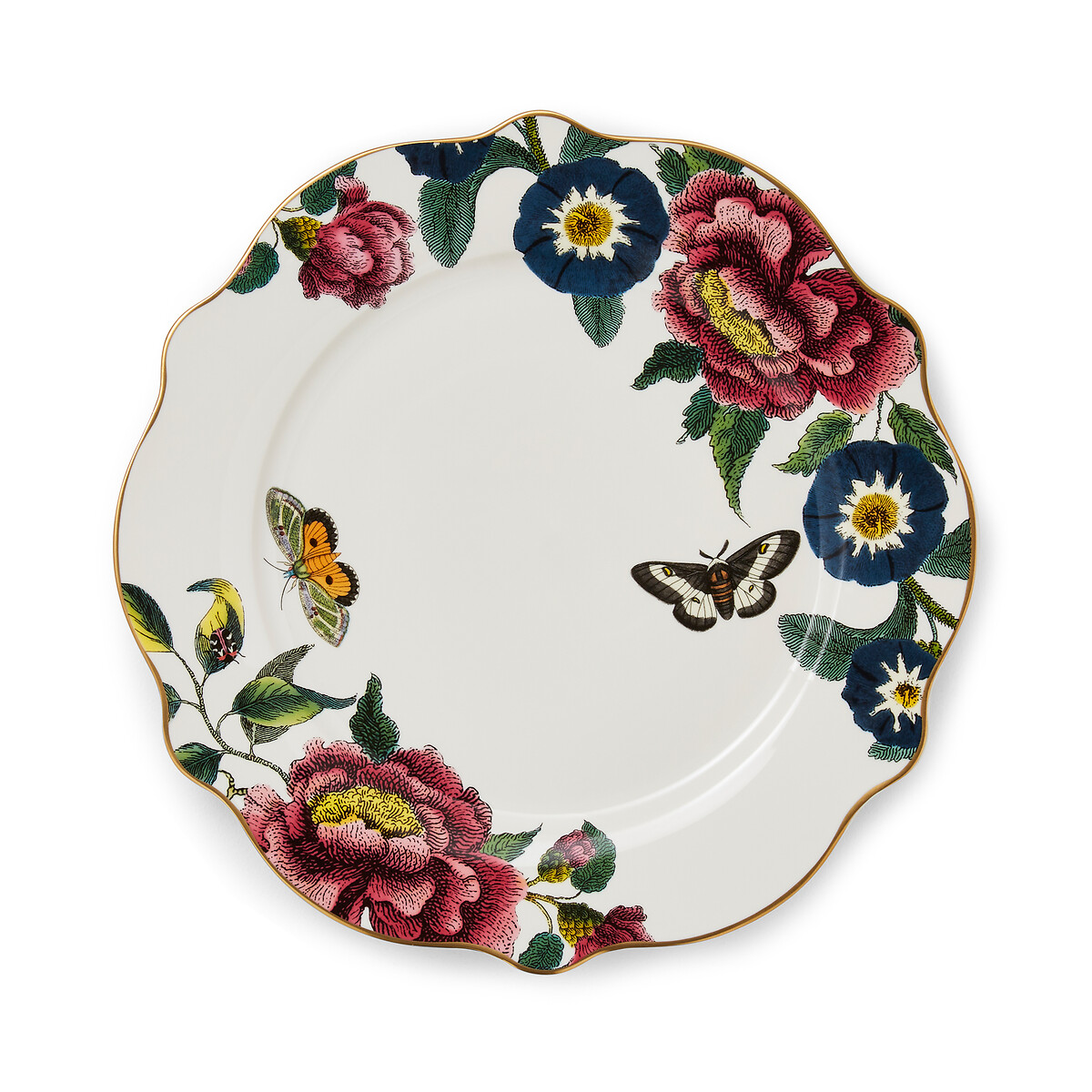 Set of 4 Creatures of Curiosity Dinner Plates multi-coloured, SPODE