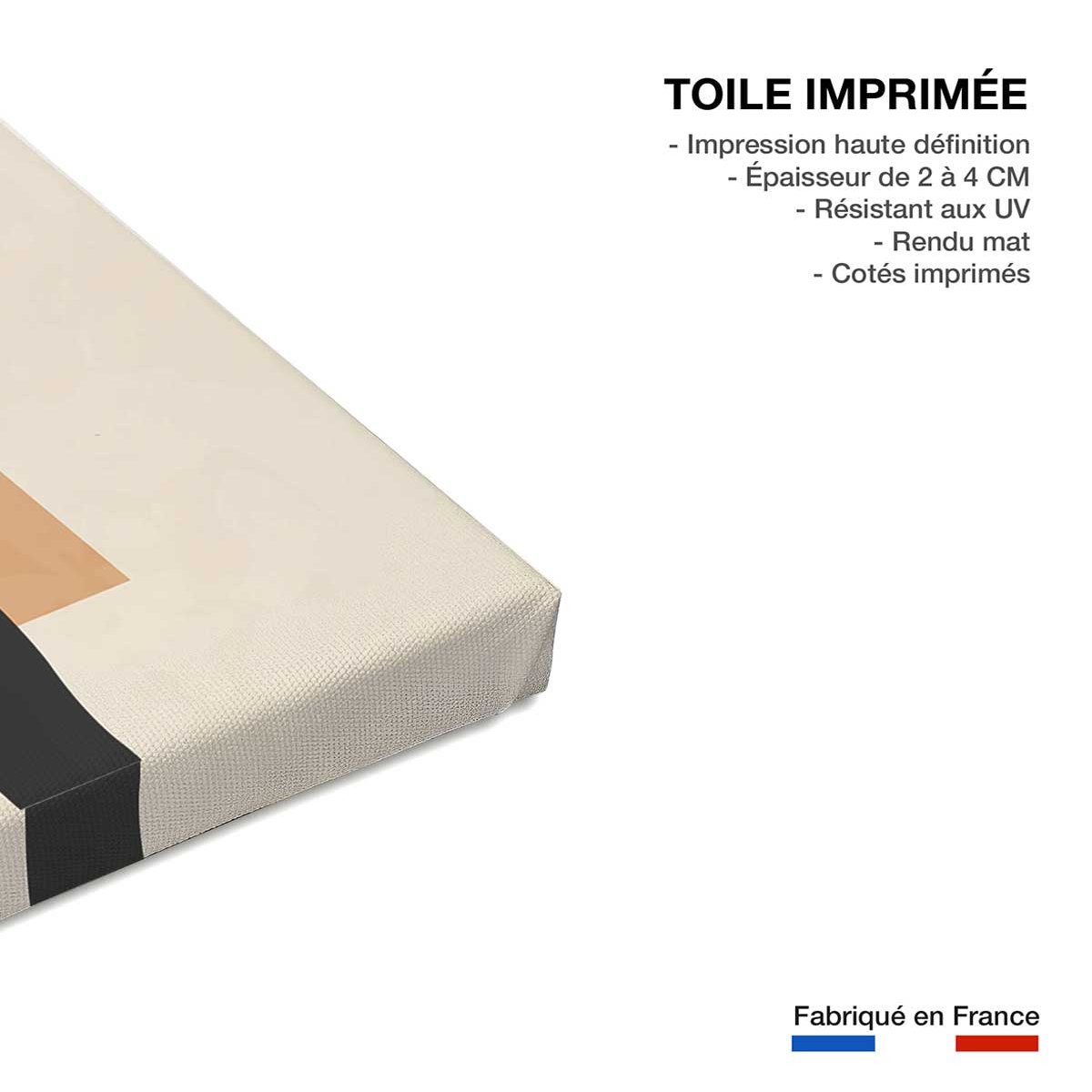 Tableau contemporain fleurs sidi toile imprimée, HEXOA