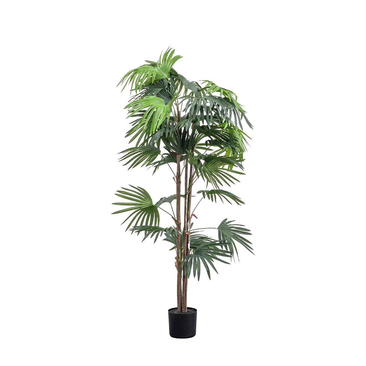168cm Faux Chinese Fan Palm Plant green, ÉDITÉ