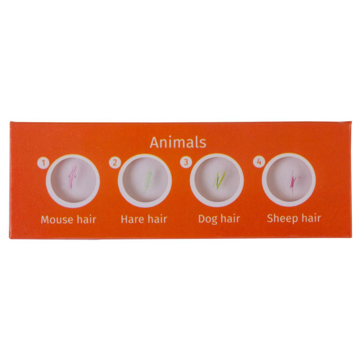 Lames pour microscopes Levenhuk LabZZ C atures couleur unique, LABZZ