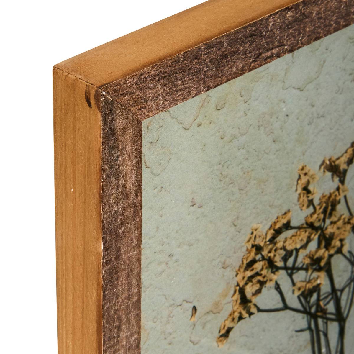 Décoration murale fleurs séchées en cadre bois pin JONAS marron, ATMOSPHERA