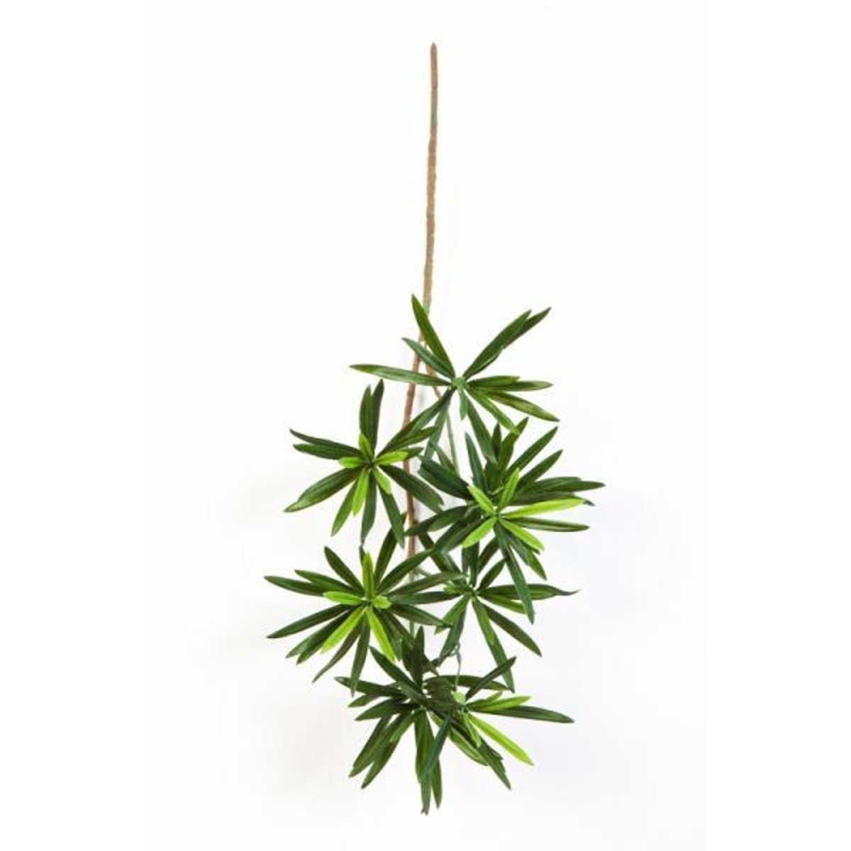Podocarpus artificiel en piquet 137 feuilles v002239, ARTIFICIELLES