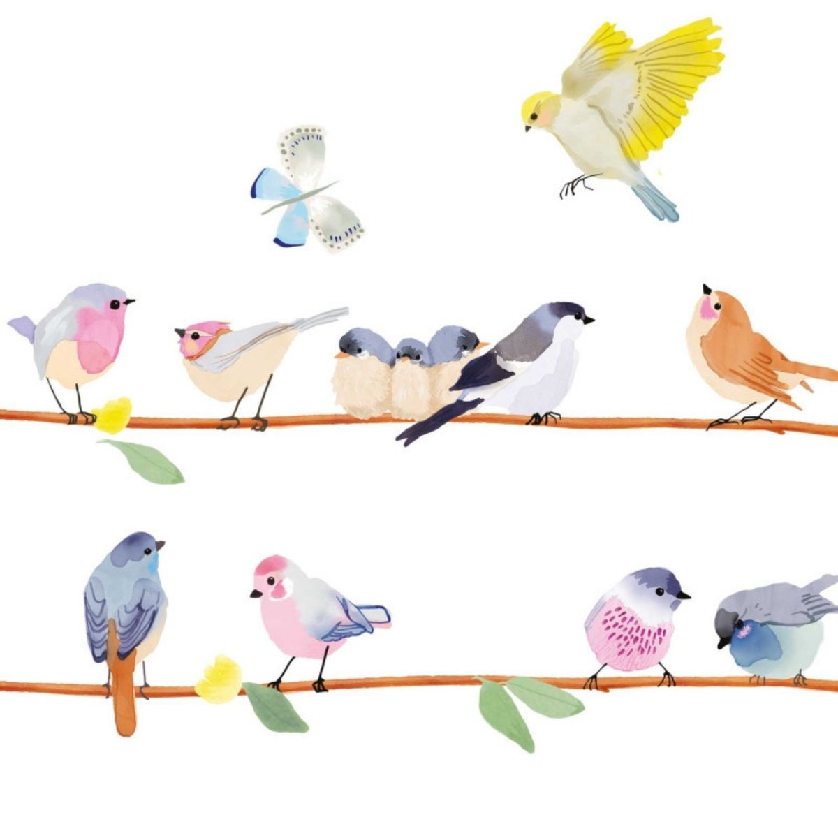 Frise adhésive sticker Branche d'oiseaux multicolore, MIMI'LOU