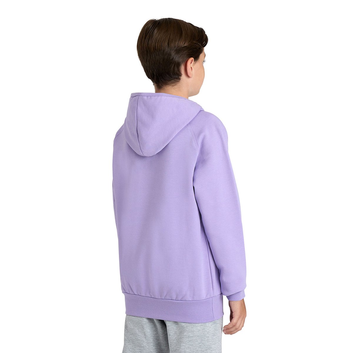 Sweat-shirt à capuche Team Junior Panel lavanda, ARENA