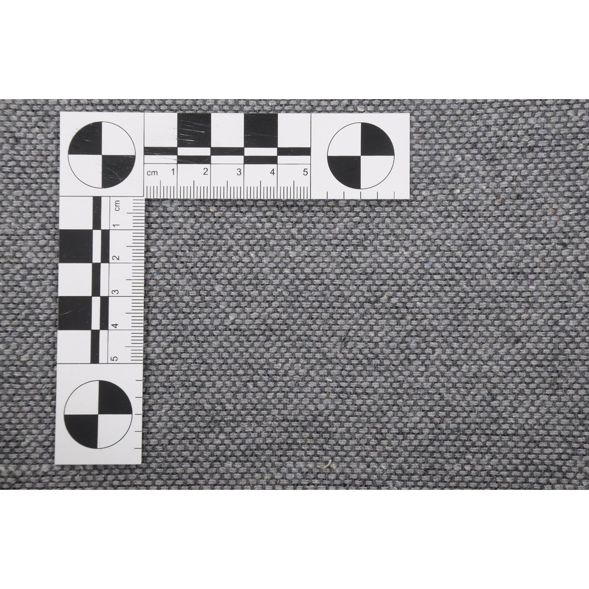 Tapis imprimé Serena, aspect cuir, plat bleu multicolore, GINO FALCONE