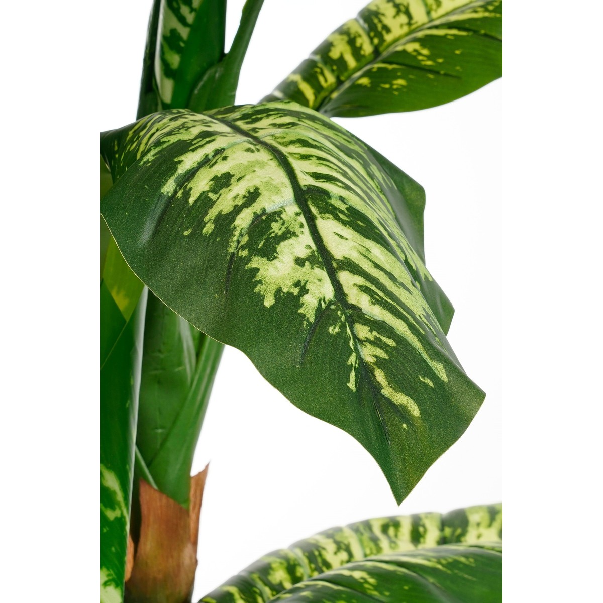 Plante artificielle DIEFFENBACHIA vert, MICA DECORATIONS