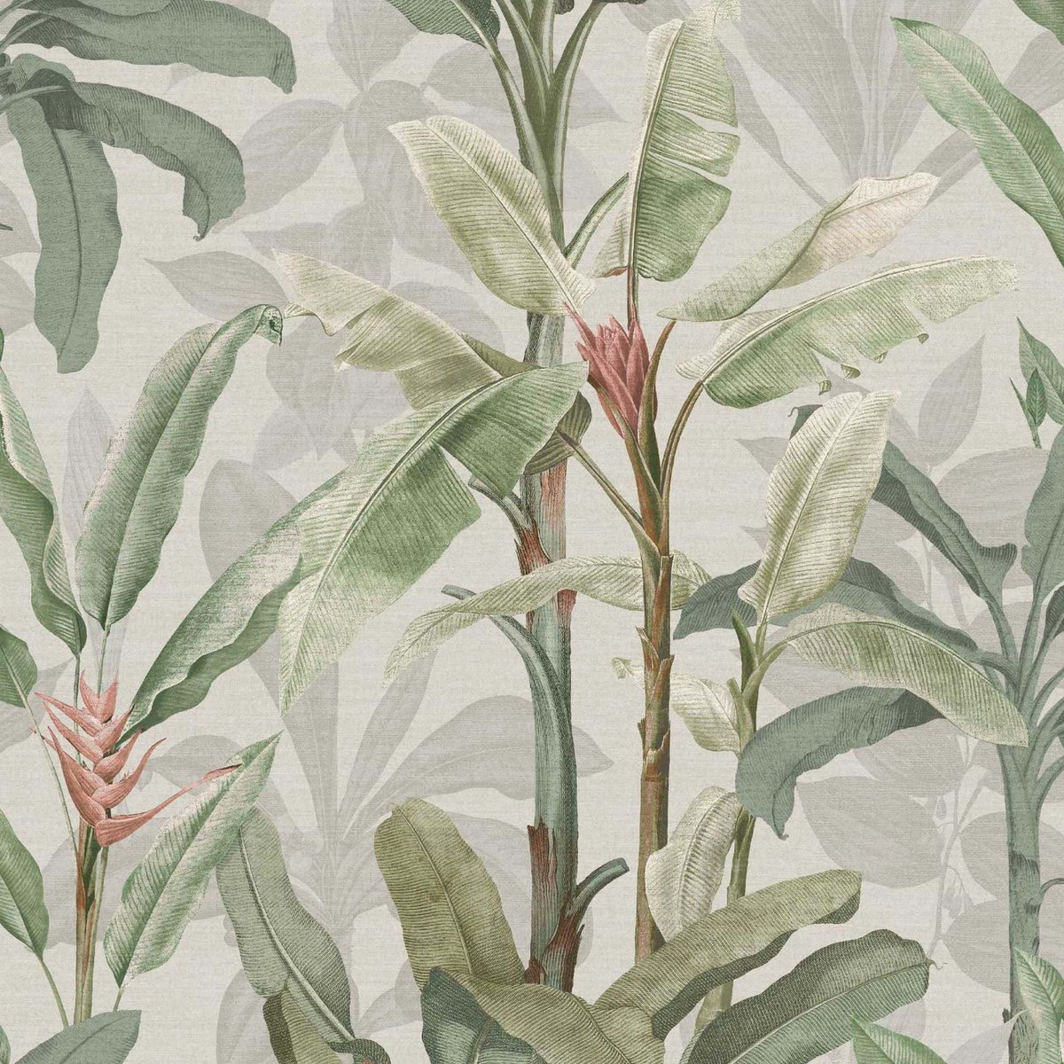 Papier peint Borneo Powder vert, gris, beige, GRAHAM ET BROWN