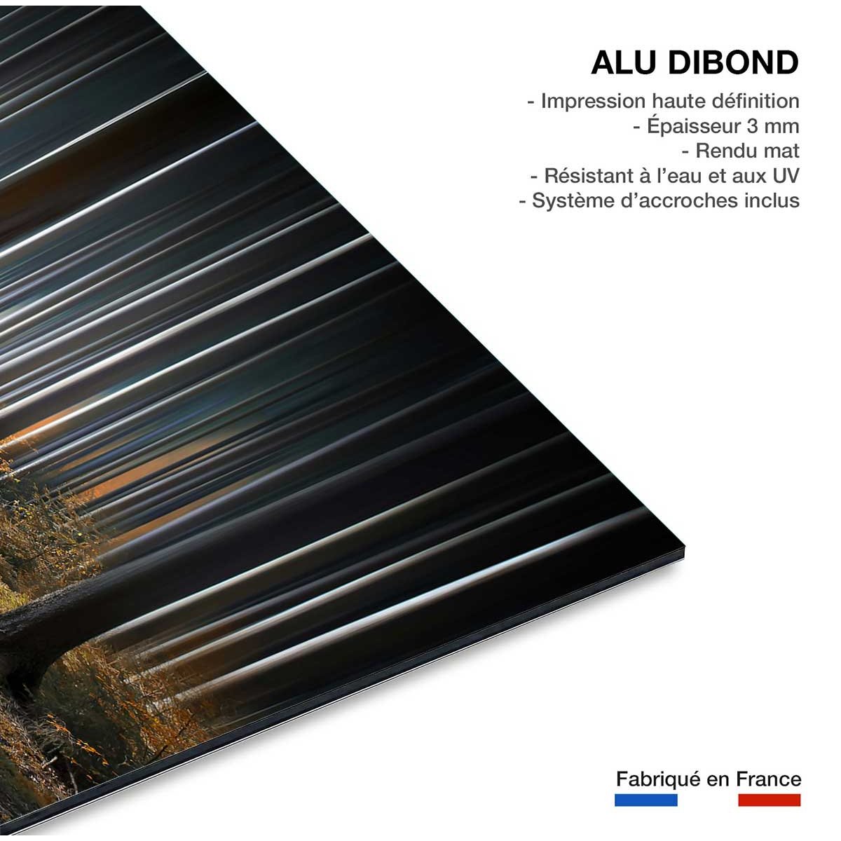 Tableau forêt fantastique tableau alu dibond, HEXOA