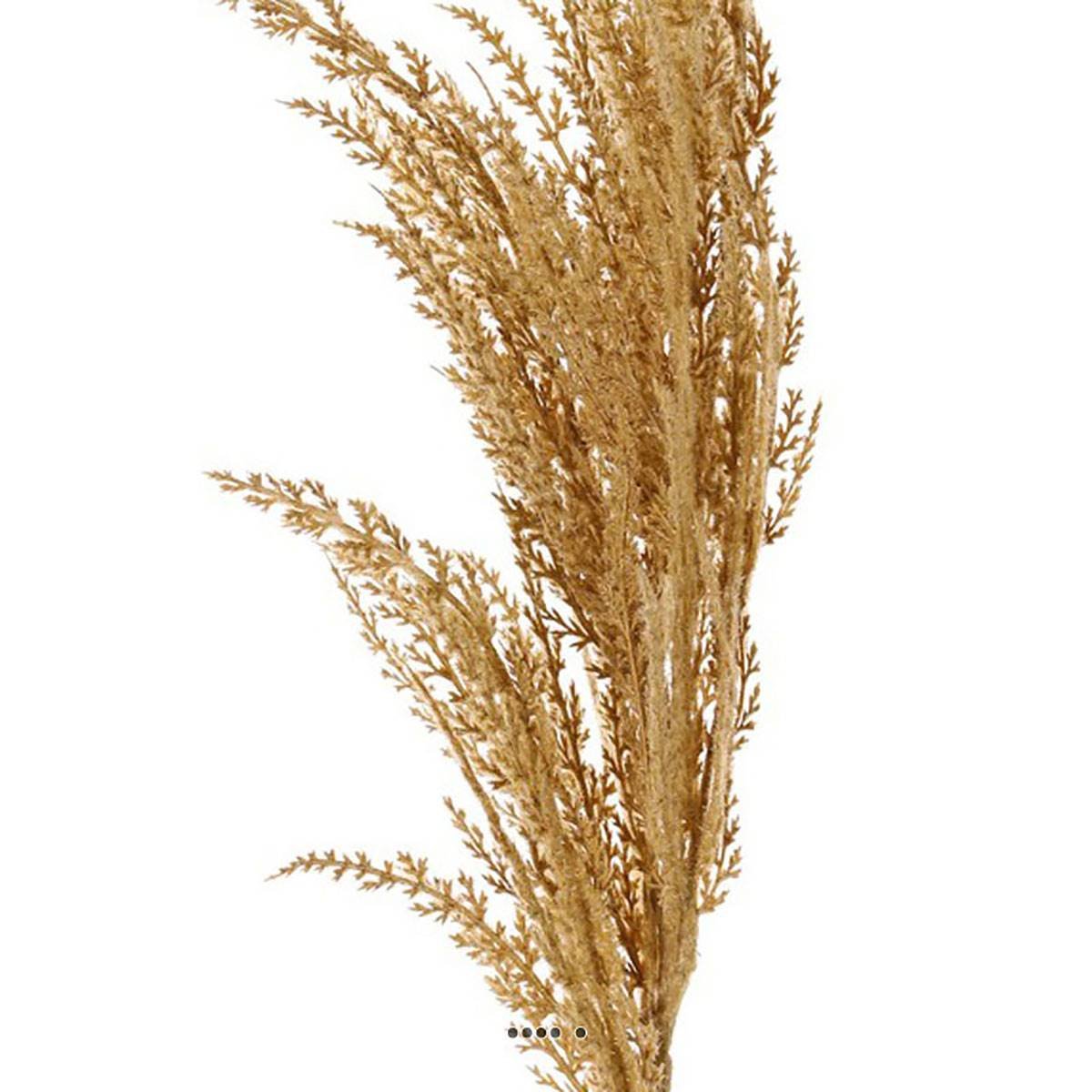 Magnifique fausse herbe de pampa grande tige vanille, ARTIFICIELLES