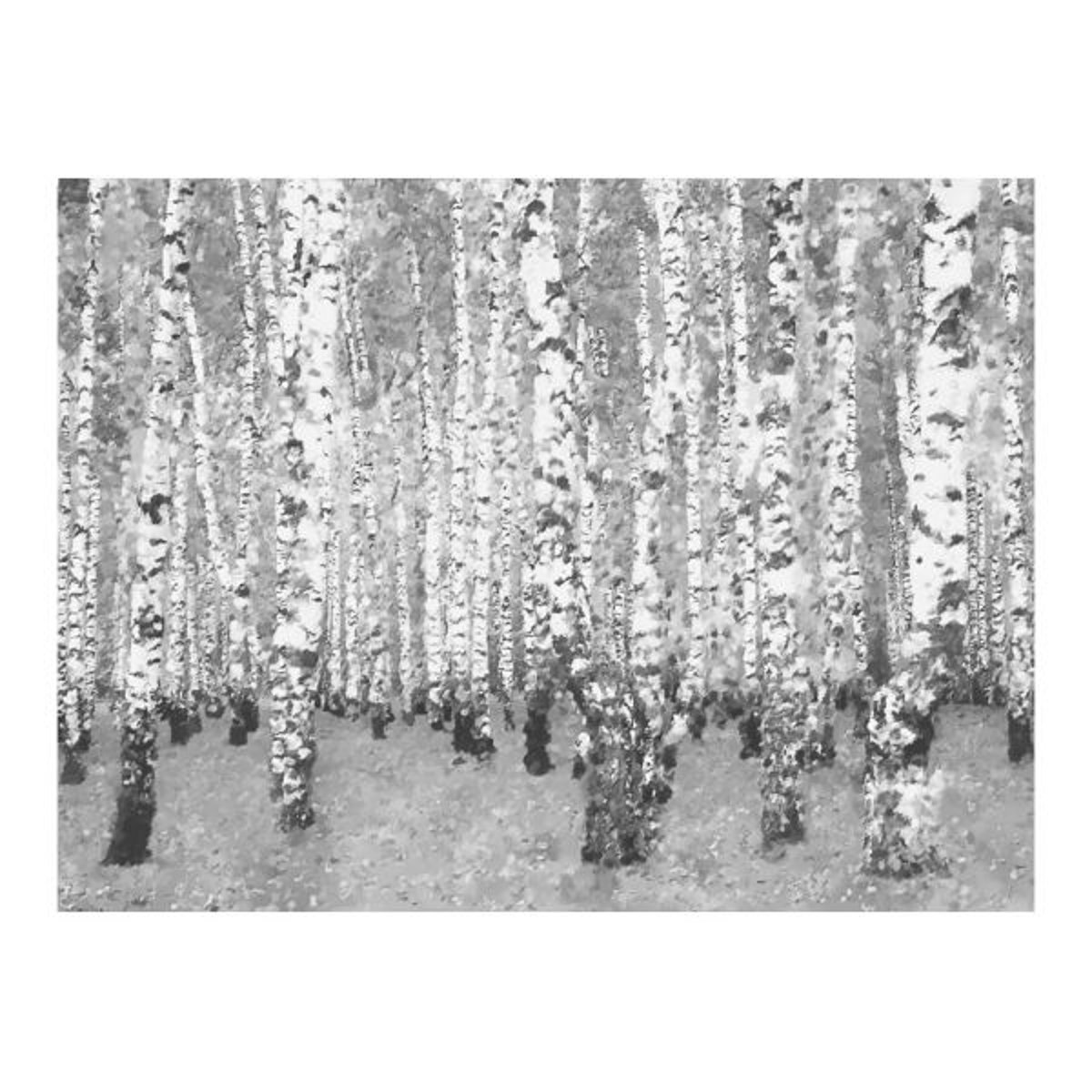 Papier peint intissé panoramique Paysage Birch seclusion gris / argent, EDEN