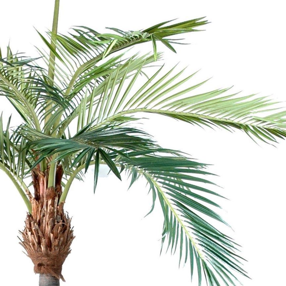 Palmier Phoenix artificiel H 400 cm D 290 cm vert, ARTIFICIELLES
