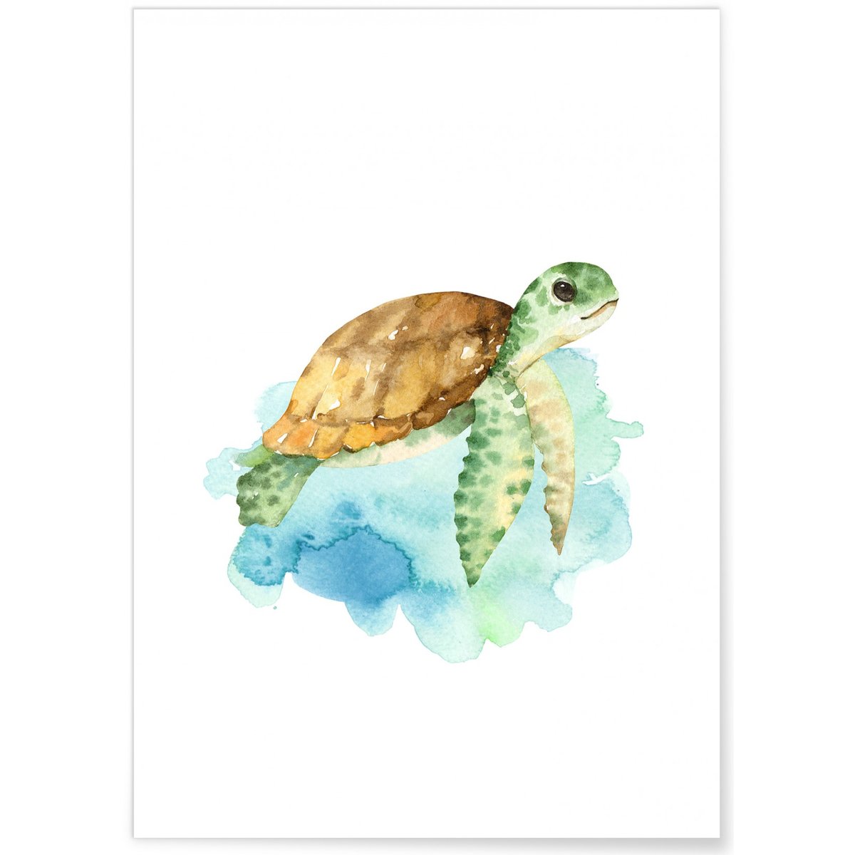 Affiche Enfant Tortue blanc, L'AFFICHERIE