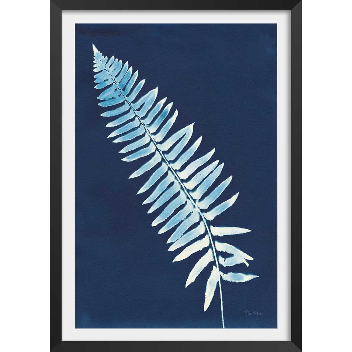 Affiche Fougère bleue affiche + cadre en bois - noir, HEXOA