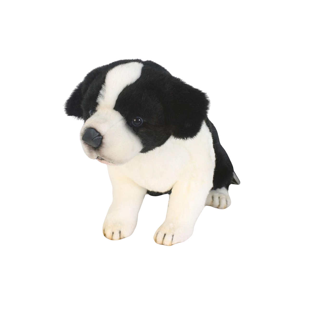 Peluche border colley bebe assis 25cm couleur unique, ANIMA