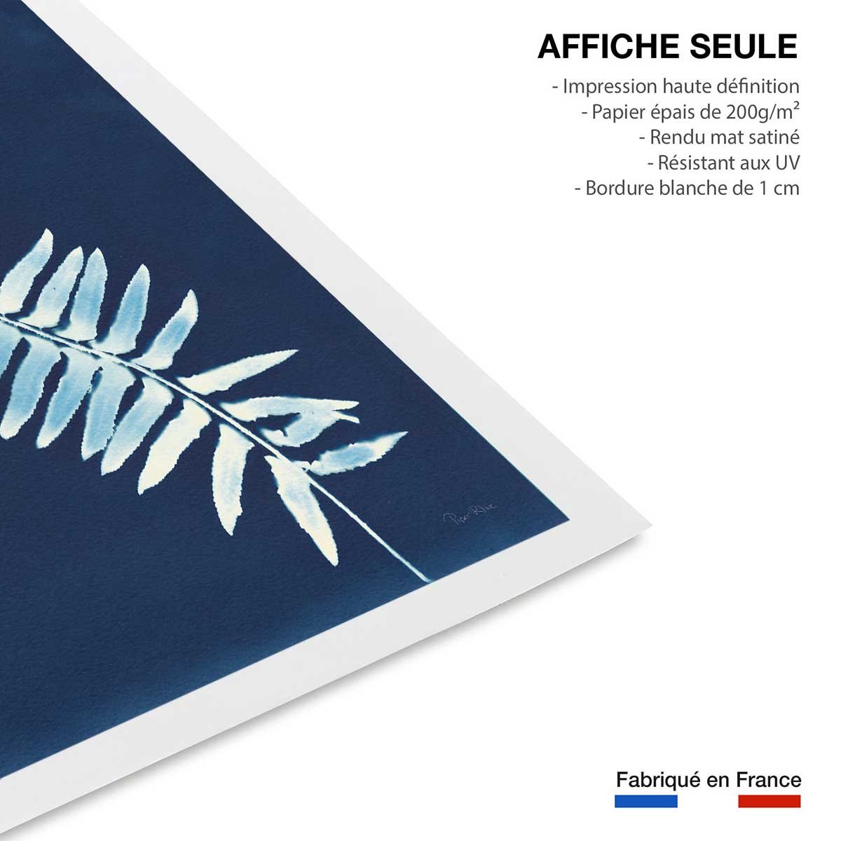 Affiche Fougère bleue affiche seule, HEXOA