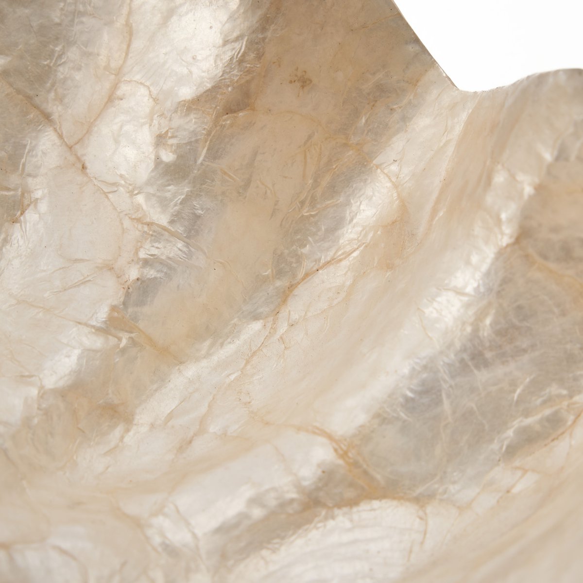 Porte-savon en coquillage MOTHER OF PEARL blanc, BAZAR BIZAR