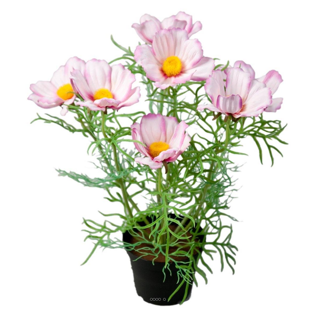 Cosmos fleuries artificielle en pot H 40 cm pourpre-blanc, ARTIFICIELLES